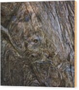 Tree Memories # 19 Wood Print