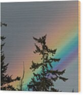 Tree Tops And A Rainbow Wood Print