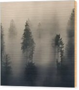 Trees In The Fog Wood Print