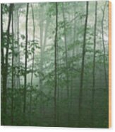 Trees In The Mist Wood Print