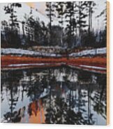 Trees Reflections Fall Evening Wood Print