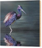 Tricolored Heron In Breeding Plumage Wood Print