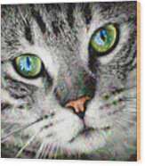 Trippy Deep Dream Cat Portrait Wood Print