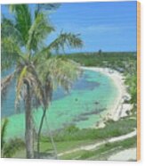 Tropic Beach Wood Print