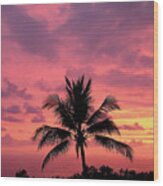 Tropical Sunset Wood Print