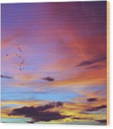Tropical North Queensland Sunset Splendor Wood Print
