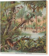 Tropical Zone - Illustrated Atlas - Old Historic Chart - Tropical Vegetation - Tribals Hunting Wood Print