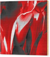 Tulip Kisses Abstract 2 Wood Print