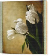 Tulip Side Sepia Wood Print