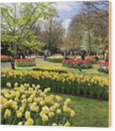 Tulips And Other Spring Bulbs At Keukenhof Gardens Holland Wood Print