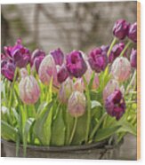 Tulips In A Bucket Wood Print