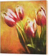 Tulips No 7 Wood Print