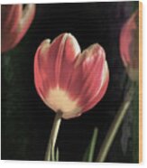 Tulips On My Table Wood Print