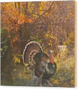 Turkey In The Woods Wood Print