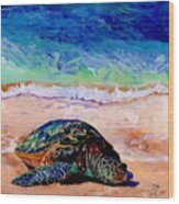 Turtle At Poipu Beach 9 Wood Print