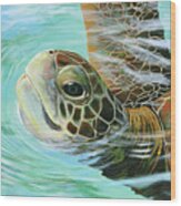Turtle Up Wood Print