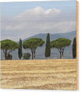 Tuscany Trees Wood Print