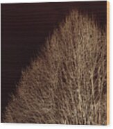 Twigs Wood Print