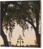 Twilight On Guadalquivir Wood Print