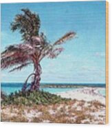 Twin Cove Palm Wood Print