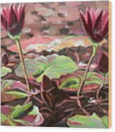 Twin Lily Blossoms Wood Print