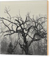 Twisted Tree In Fog Wood Print