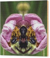 Two Bees Pareidolia Wood Print
