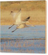 Two Cranes Cruising Wood Print