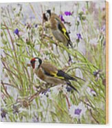 Two Goldfinches Wood Print
