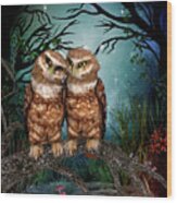 Two Owls In The Night Wood Print