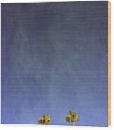 Two Palm Trees- Art by Linda Woods Wood Print