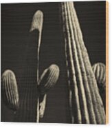 Two Tall Saguaros Wood Print
