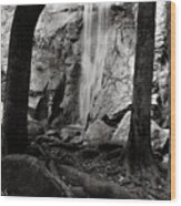 Two Trees And A Waterfall Wood Print