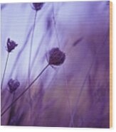 Ultra Violet Botanical Wood Print