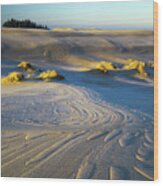 Umpqua Dunes With Frost Wood Print