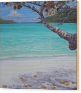 Under The Tree At Magen's Bay Wood Print