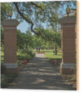 University And Johnston Entrance Wood Print