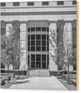 University Of Arkansas Mullins Library Entrance Wood Print