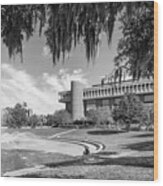 University Of Central Florida John Hitt Library Wood Print