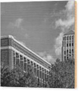 University Of Michigan Natural Sciences Building With Burton Tower Wood Print