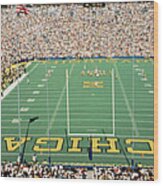University Of Michigan Stadium, Ann Wood Print