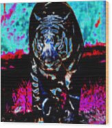Unusual Tiger On The Prowl Wood Print