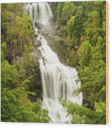 Upper Whitewater Falls Wood Print
