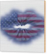 Usa Flag Lips Wood Print