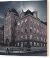 Famous Haunted Science Hall At Uw Madison Wood Print