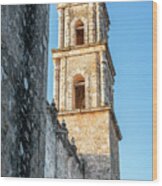 Valladolid Cathedral Spire Wood Print
