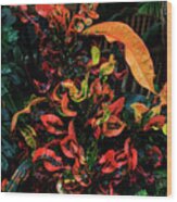 Variegated Croton Burst Of Color Wood Print