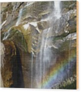 Vernal Falls Rainbow And Plants Wood Print