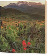 Vertical Timp With Wildflowers Wood Print