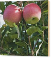 Vertical Twin Apples Wood Print